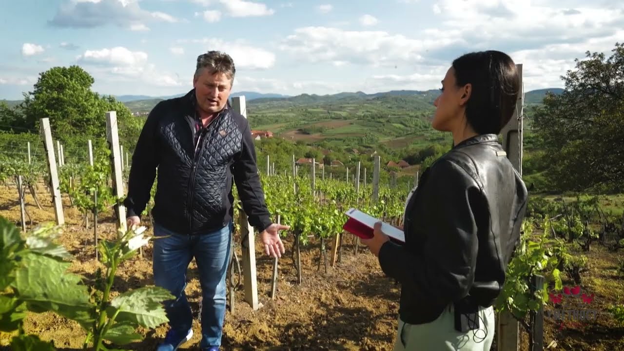 Umetnost u čaši ep. 32 16.06.2020. Vinarija Milinčić