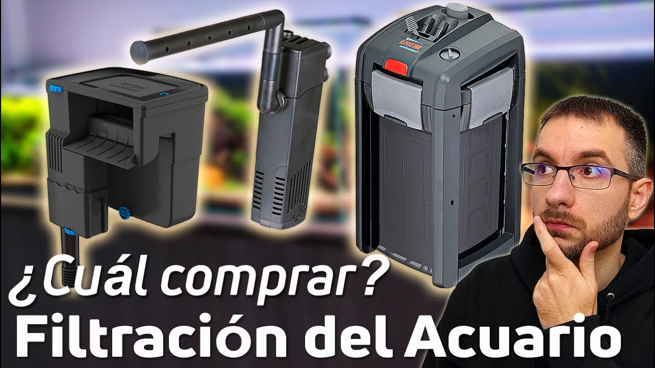Cómo Elegir el Mejor Filtro para tu Acuario | Calcula la Potencia Adecuada 🐠