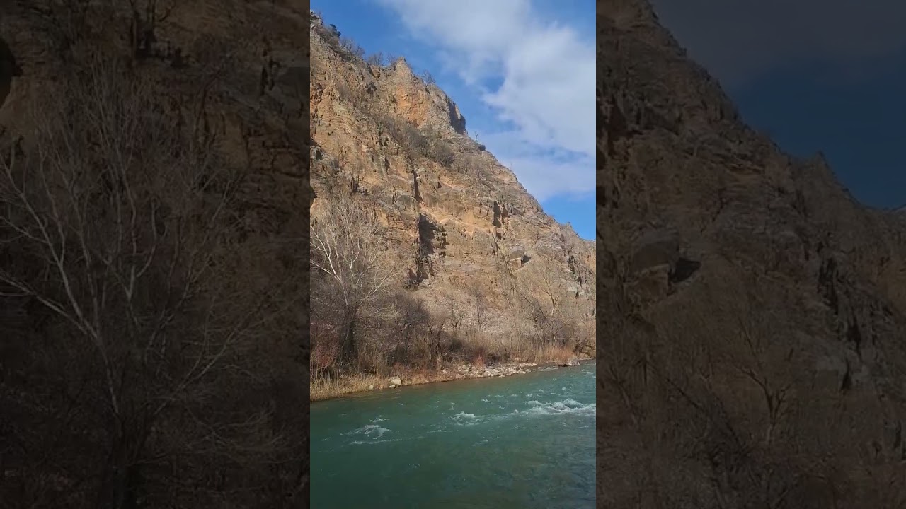 Doğada yürüyüstür panpa 