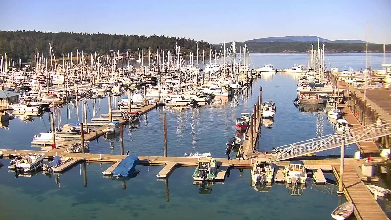 Port of Friday Harbor Marina Live Stream