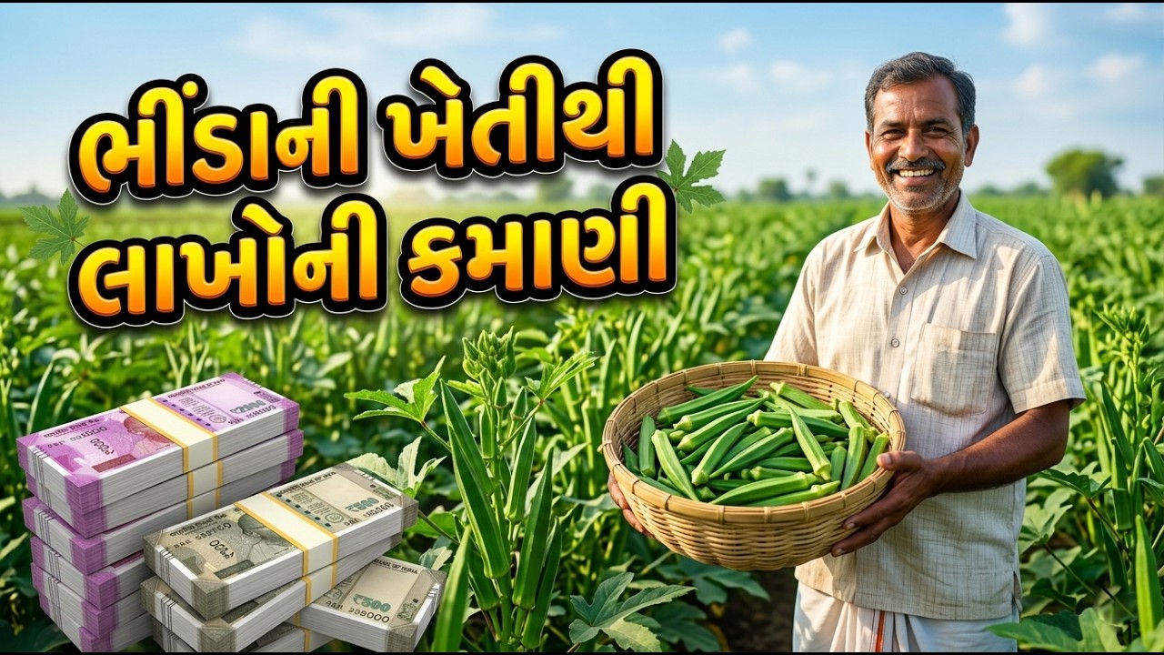 જાન્યુઆરીમાં ભીંડા ખેતી | January Okra Farming Profit Formula #farming #okara