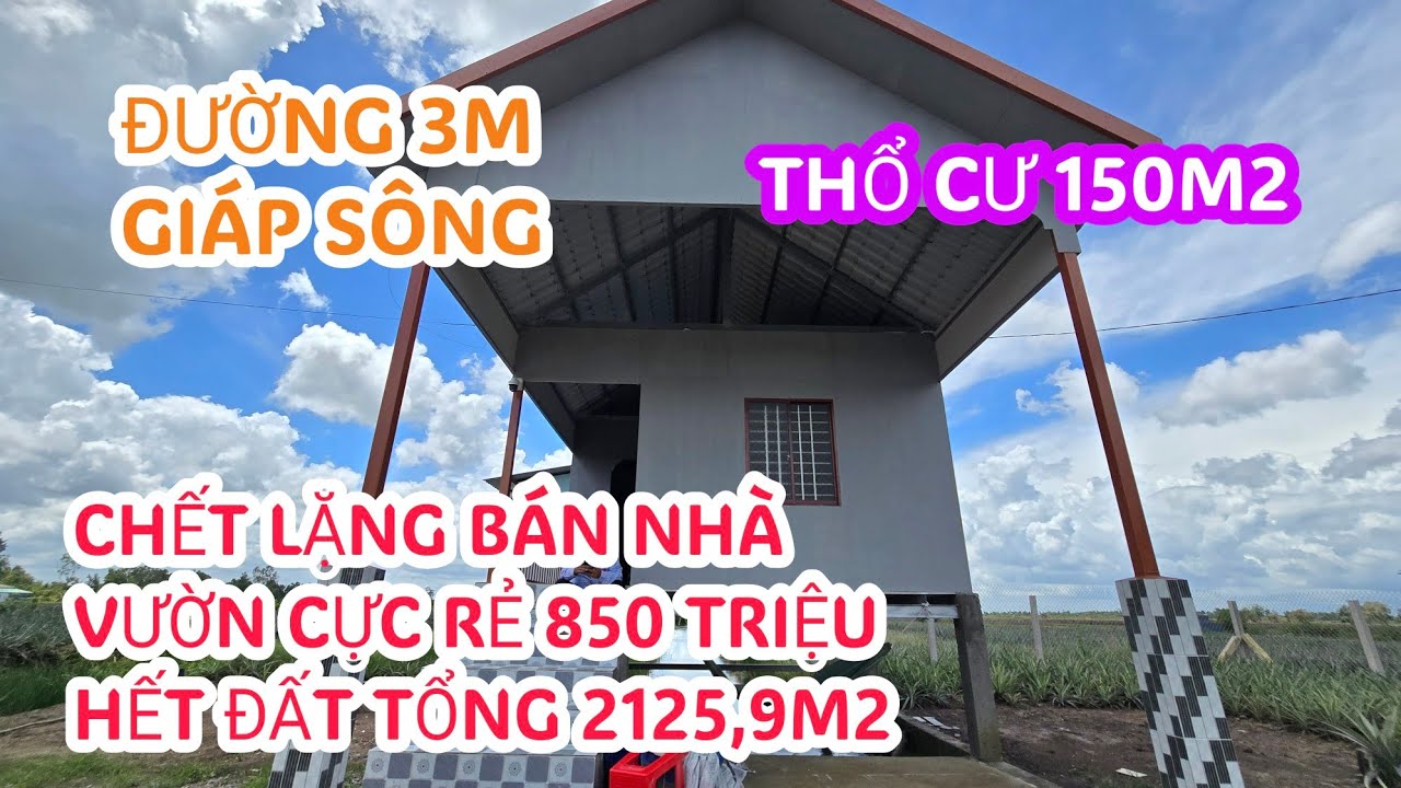 MS:24920 Nơi làm chủ ở xa nên đành bán nhanh căn nhà vườn rẻ 850 triệu tổng 2125,9m2 - Thổ cư 150m2.