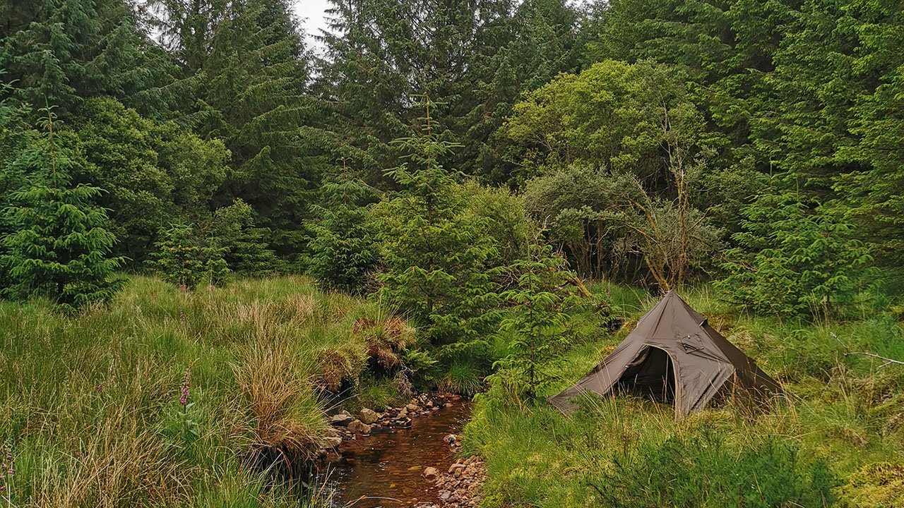 Alone in the Woods | Wild Camping with my Staffy Dog | Summer Solstice
