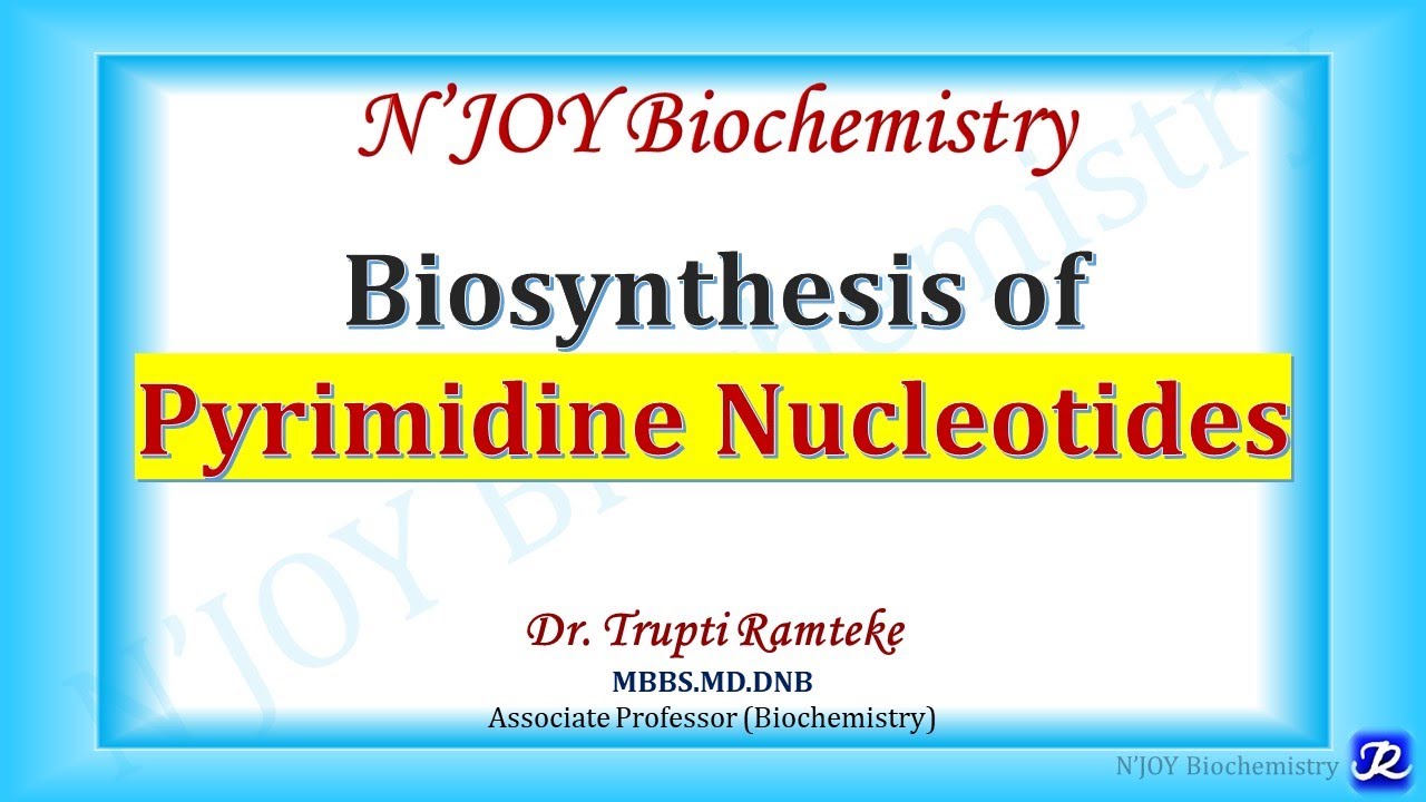 Биосинтез пиримидинов | Метаболизм нуклеотидов | Биохимия | N'JOY Biochemistry
