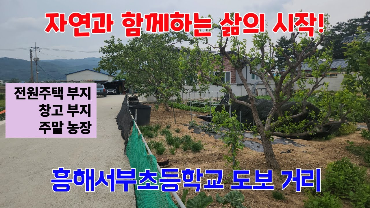 882 🌿 포항 흥해읍 매산리 토지 매물 소개: 자연과 함께하는 삶의 시작! #포항부동산 #지목부동산 #지목공인중개사 #포항주말농장매매