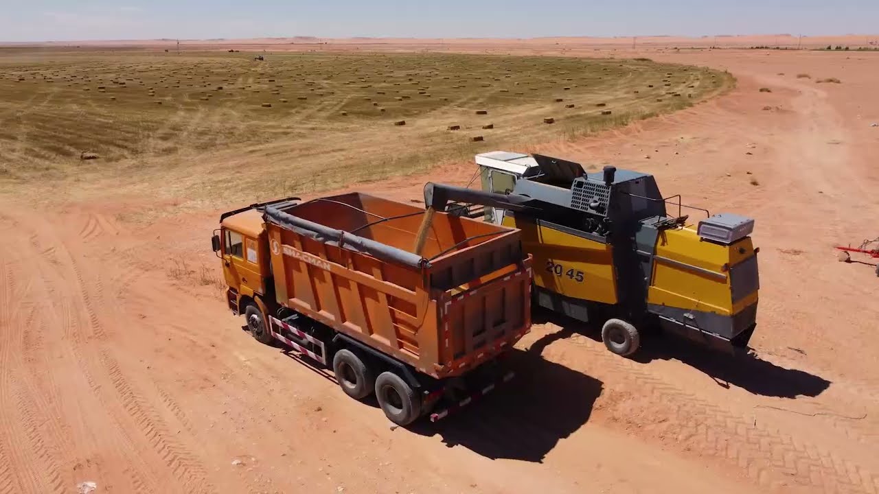TIMAC AGRO Algérie auprès des agriculteurs du Sud et le programme Mourafaqa.