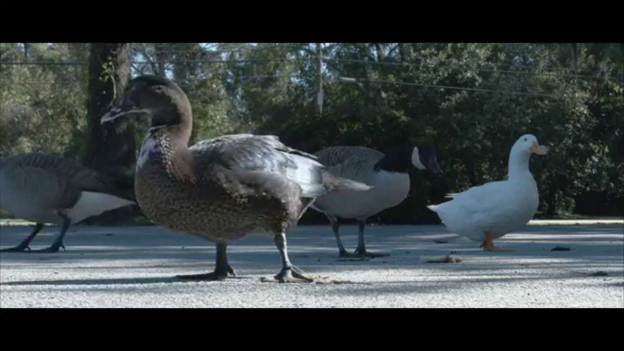 URSA Mini 4K Test