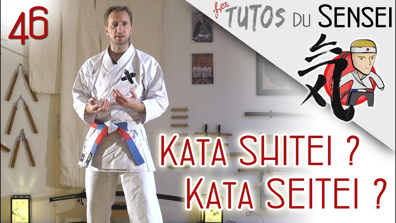 KATA SHITEI & SEITEI ??