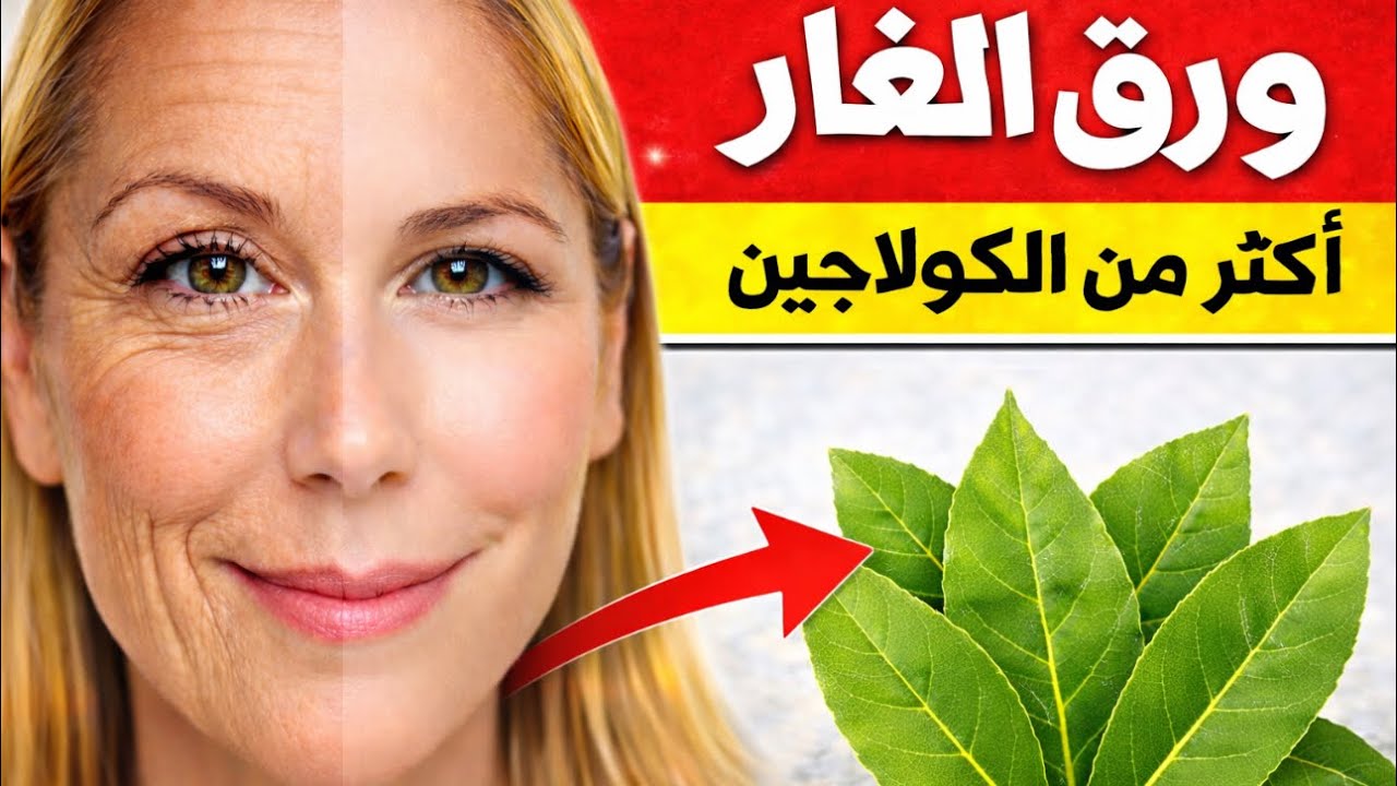 ورقة غار واحدة تعادل 10 أضعاف الكولاجين ❗تمحي التجاعيد نهائيًا حتى لو عندك 90 سنة #شد_البشرة 
