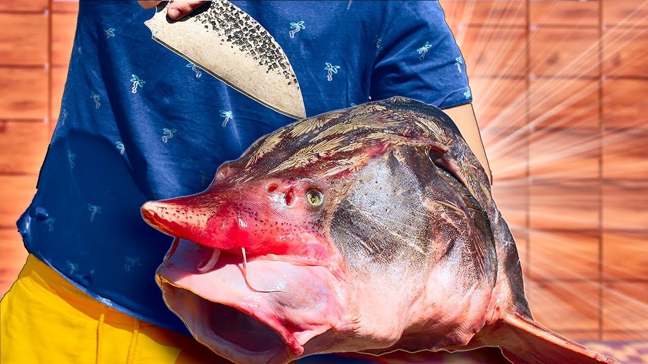 Une soupe de poisson royale du XVIIIe siècle a été préparée à partir d'une énorme tête d'esturgeon