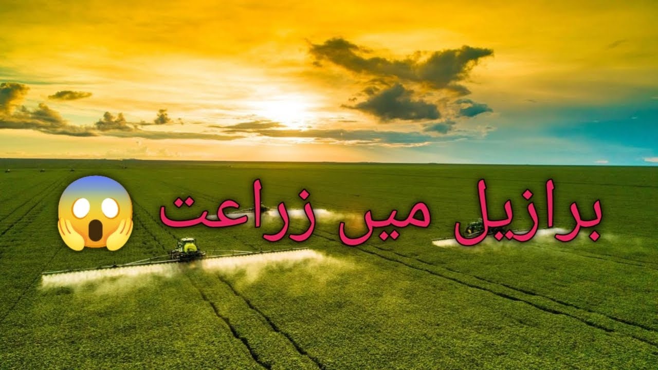 Brazil ma Agriculture|Agriculture in Brazil|Brazilian Munda|