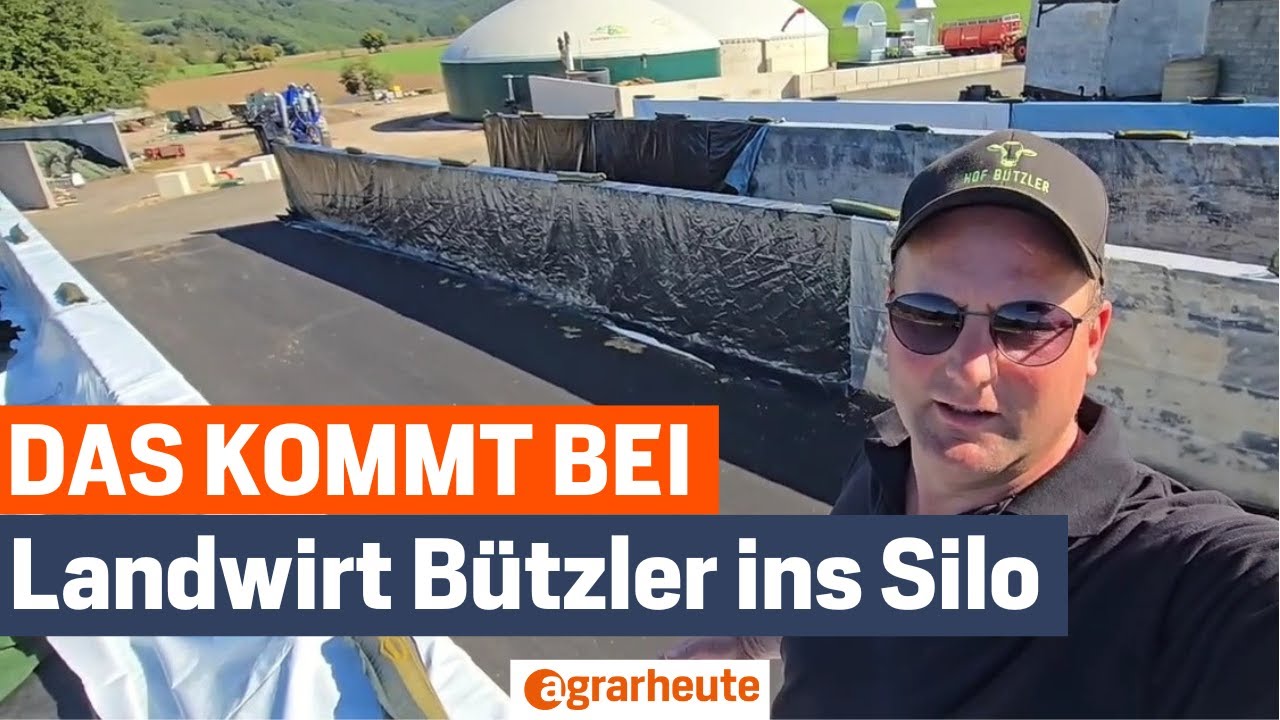 Landwirt B&uuml;tzler: Das f&uuml;ttert er seinen K&uuml;hen im Winter