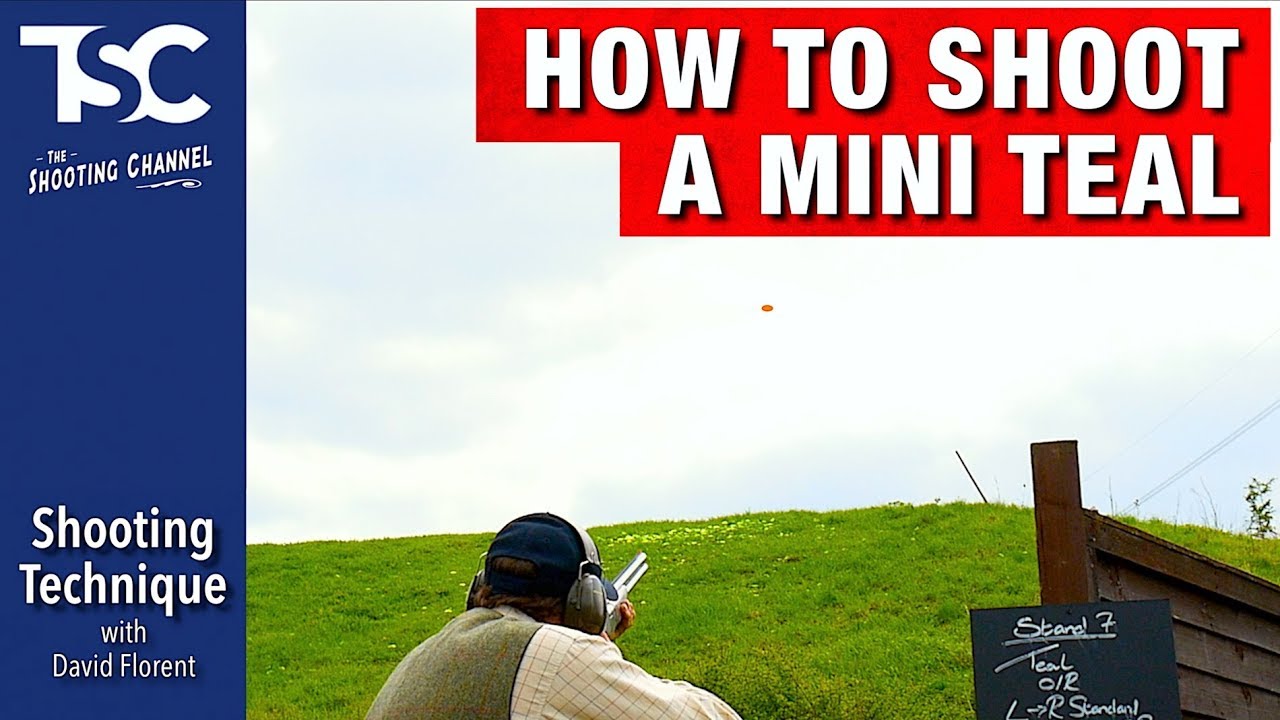Shooting technique - no.3: The Teal
