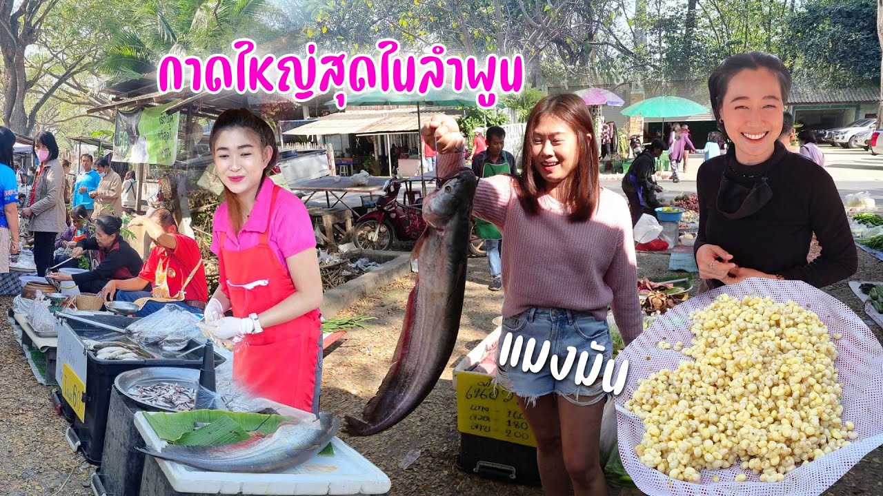 จัดลาบดิบฤดูไข่แมงมันแม่ค้างามของขายตามฤดูตลาดที่ใหญ่ที่สุดลำพูนเวียงหนองล่อง