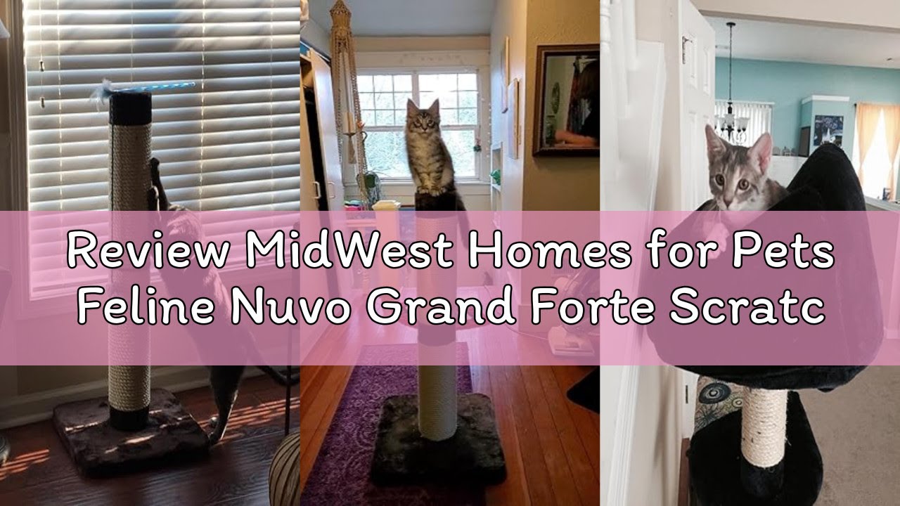 Review MidWest Homes for Pets Feline Nuvo Grand Forte Scratching Post, 41 Inches Tall, Heavy-Duty Si