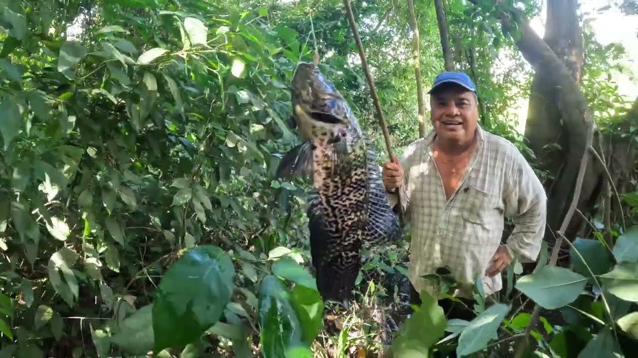 Pesca artesanal en poza de guapotes