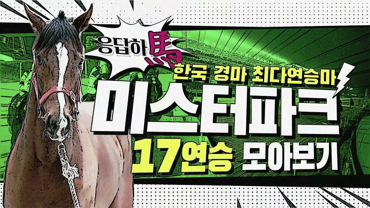 추억 속 명마! 응답하馬! 미스터파크 한국 경마 최다 연승!