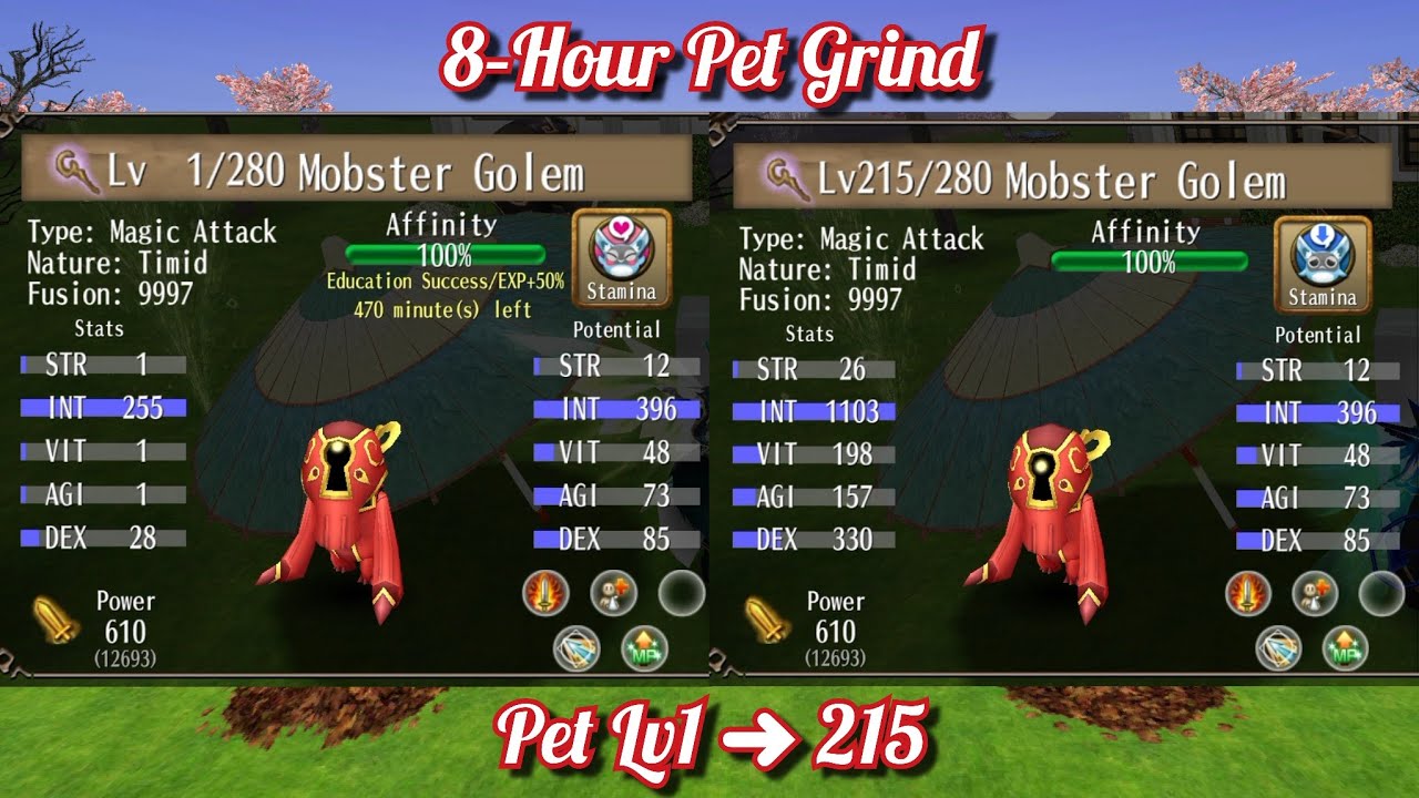 Pet Leveling in 8 Hours – No Pom Creamy Treat, No Guild EXP Buff | Toram Online
