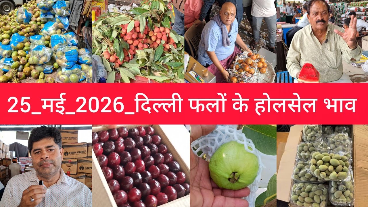 25 May 2026 दिल्ली फलों के भाव&nbsp;Delhi Fruit Market Price Today Azadpur Mandi  Aaj Ka Fruit Rate