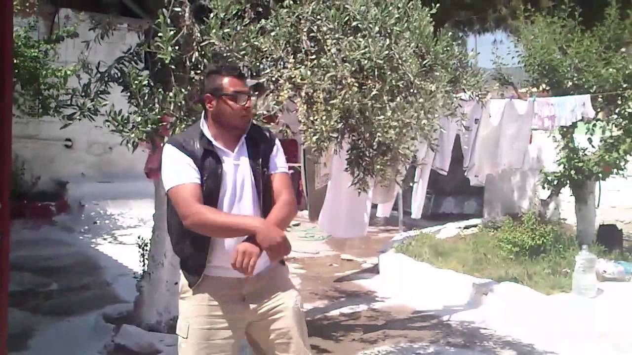 ZEFYRI ADONIS GAGNAM STYLE