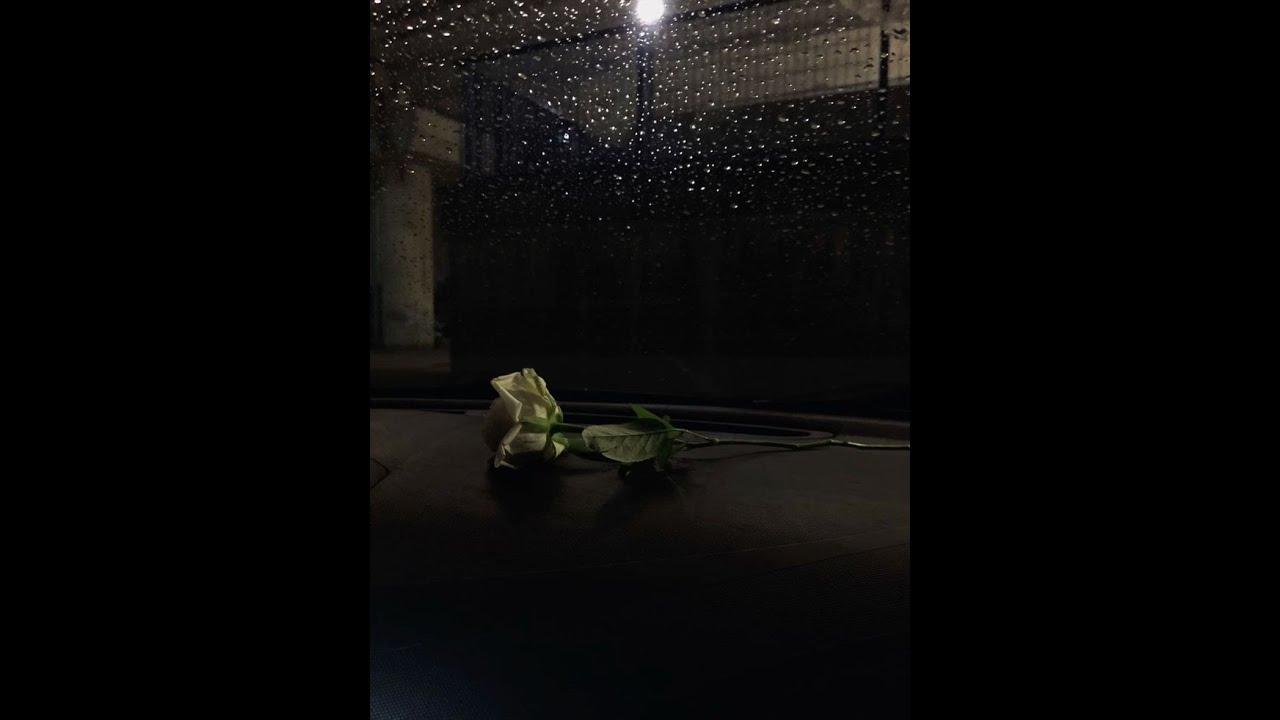 [FREE] Джизус x тринадцать карат type beat - 