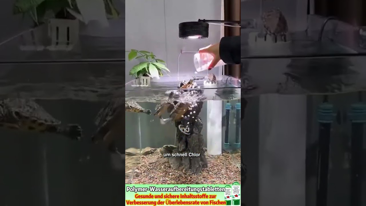 【Fischpflege-Wunder】Aquarien-Polymer-Wasserreinigungstablette