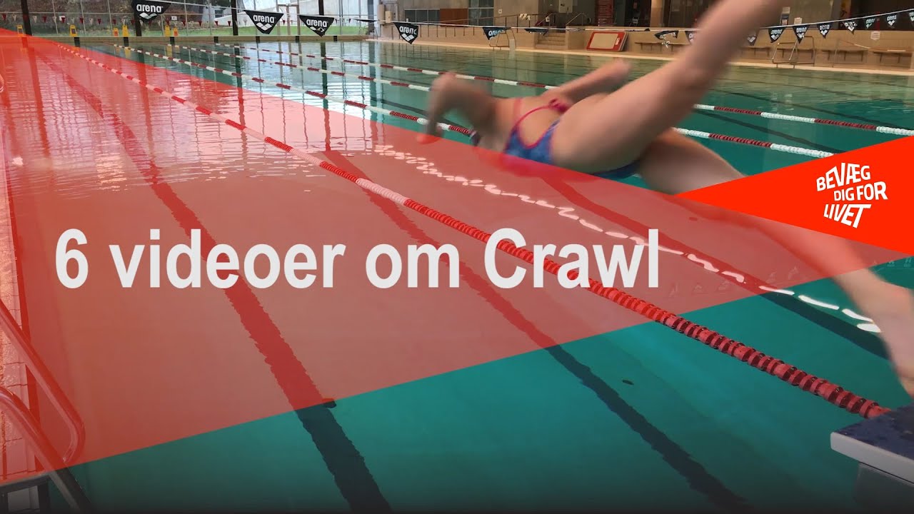 6 videoer om crawl - En introduktion
