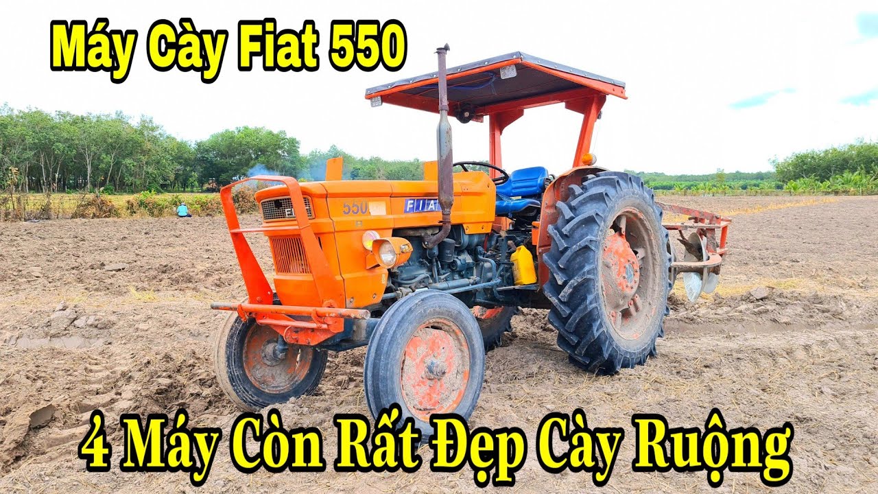 Bắt Gặp M&aacute;y C&agrave;y Fiat 550 C&agrave;y Đất Trồng M&igrave; Chạy Tốc Độ Bụi Bay Mịt M&ugrave;, C&ograve;n Rất Mới