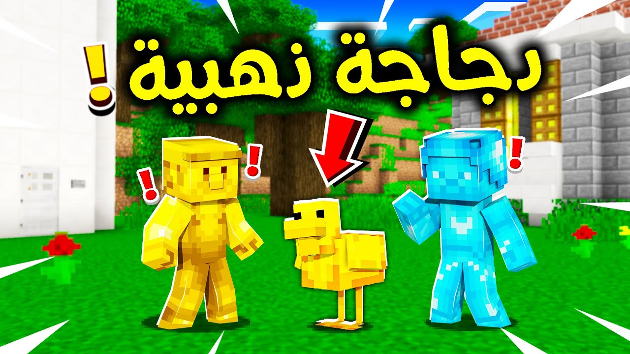 فلم ماين كرافت : دجاجة ولد القولد الذهبية؟!! 😱🔥