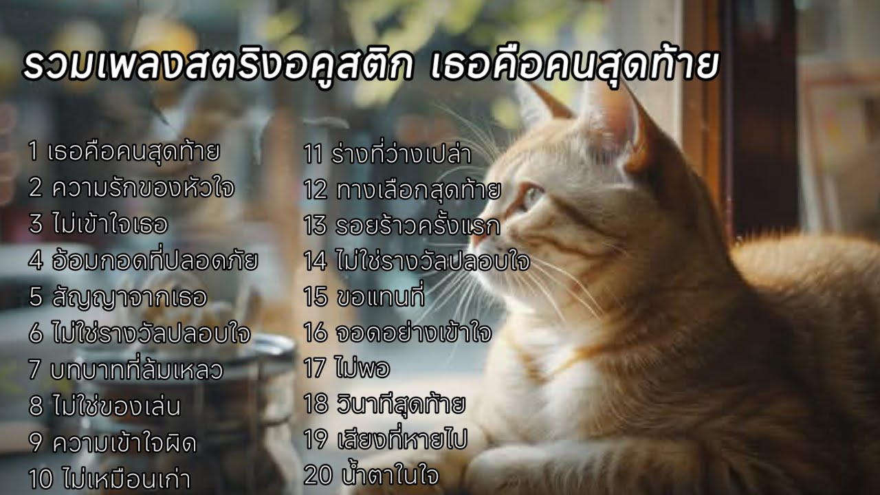 รวมเพลงสตริงอคูสติก เธอคือคนสุดท้าย #เพลงai #เพลงใหม่ล่าสุด 💥💥💥
