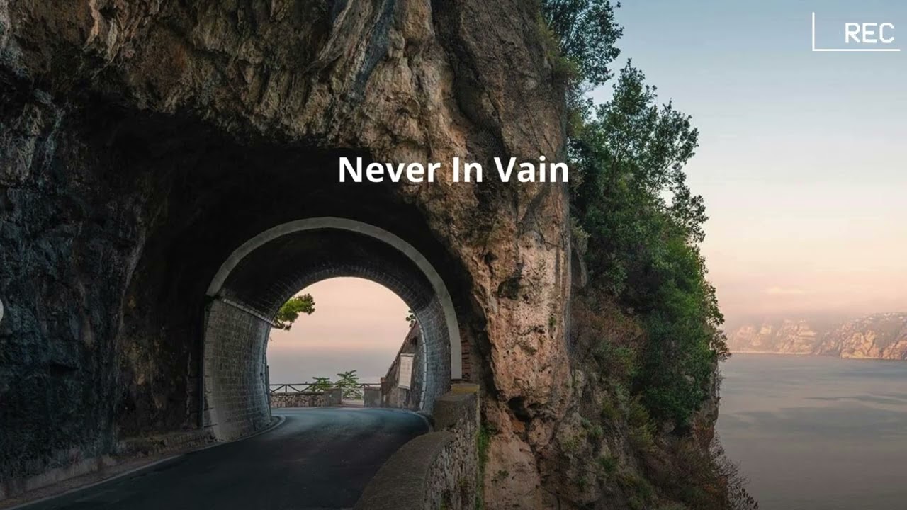 Never In Vain