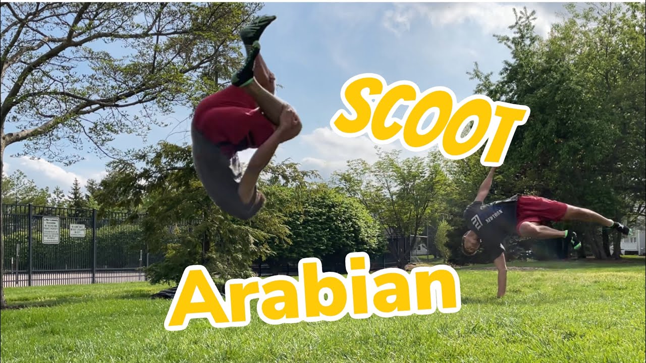 Scoot Arabian Progression
