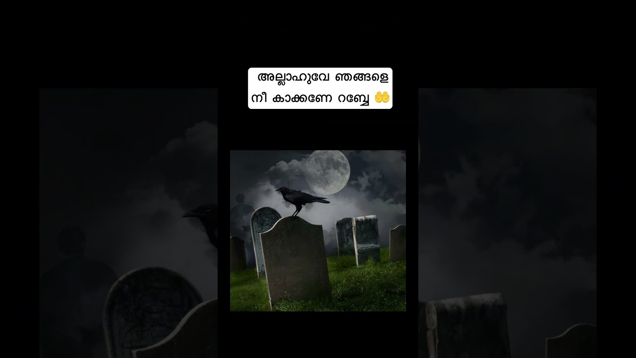 #allah#prophetmuhammad#islam#muslim#shorts#viral#youtubeshorts#trending#motivation#kerala#malayalam