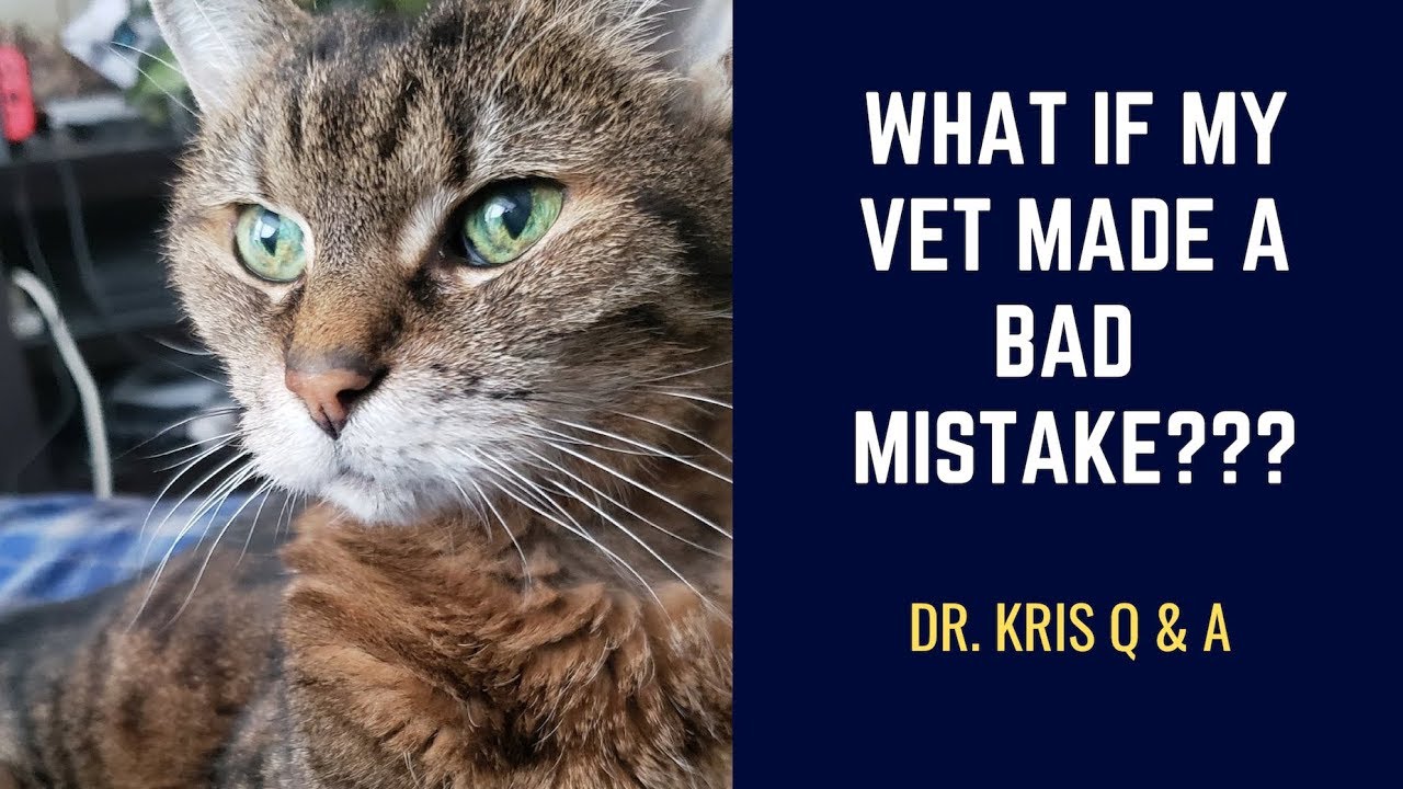 What if my vet made a bad mistake?