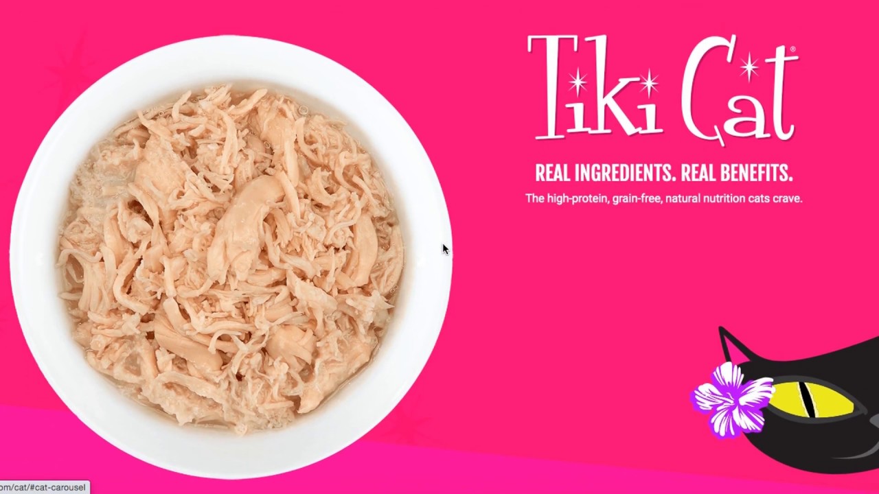 Tiki Pets Cat Food Product Review (mini haul)