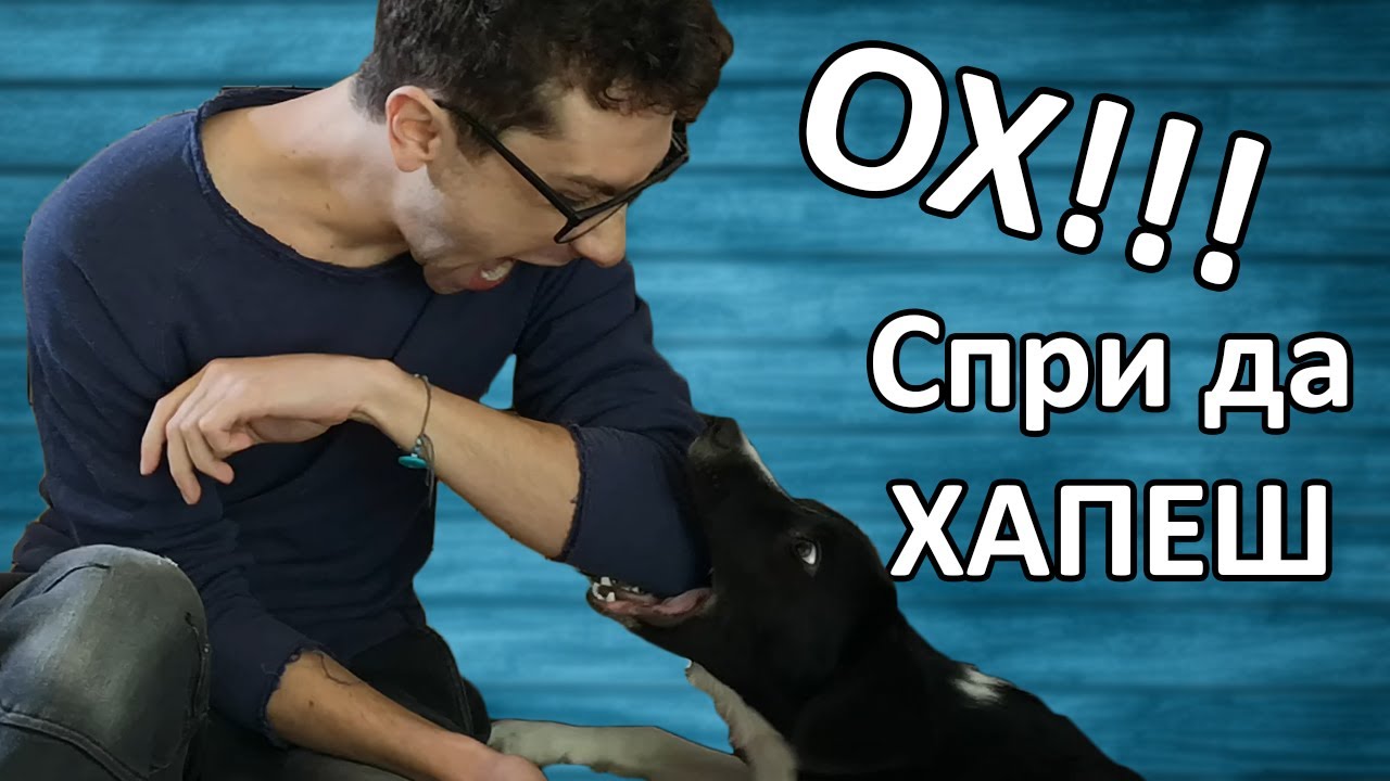 Кучето ме ХАПЕ