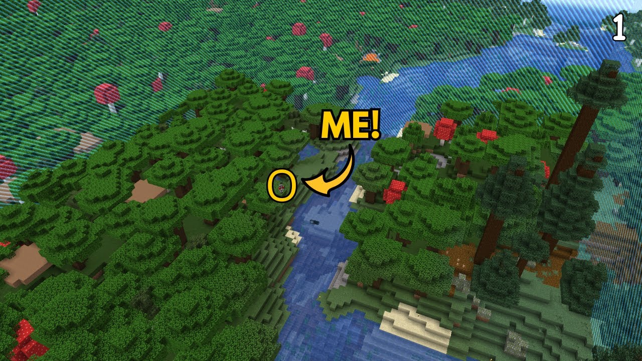 The Start of My  100 by 100 World!