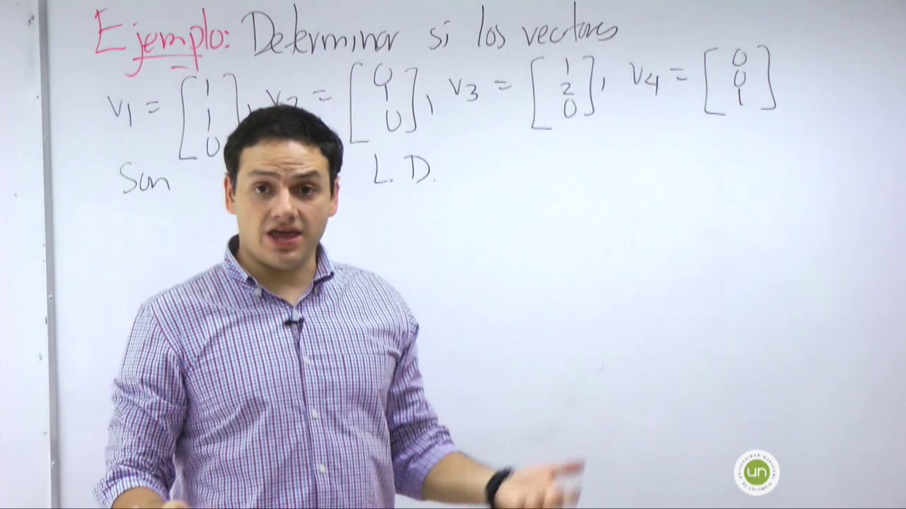 Dependencia e independencia lineal