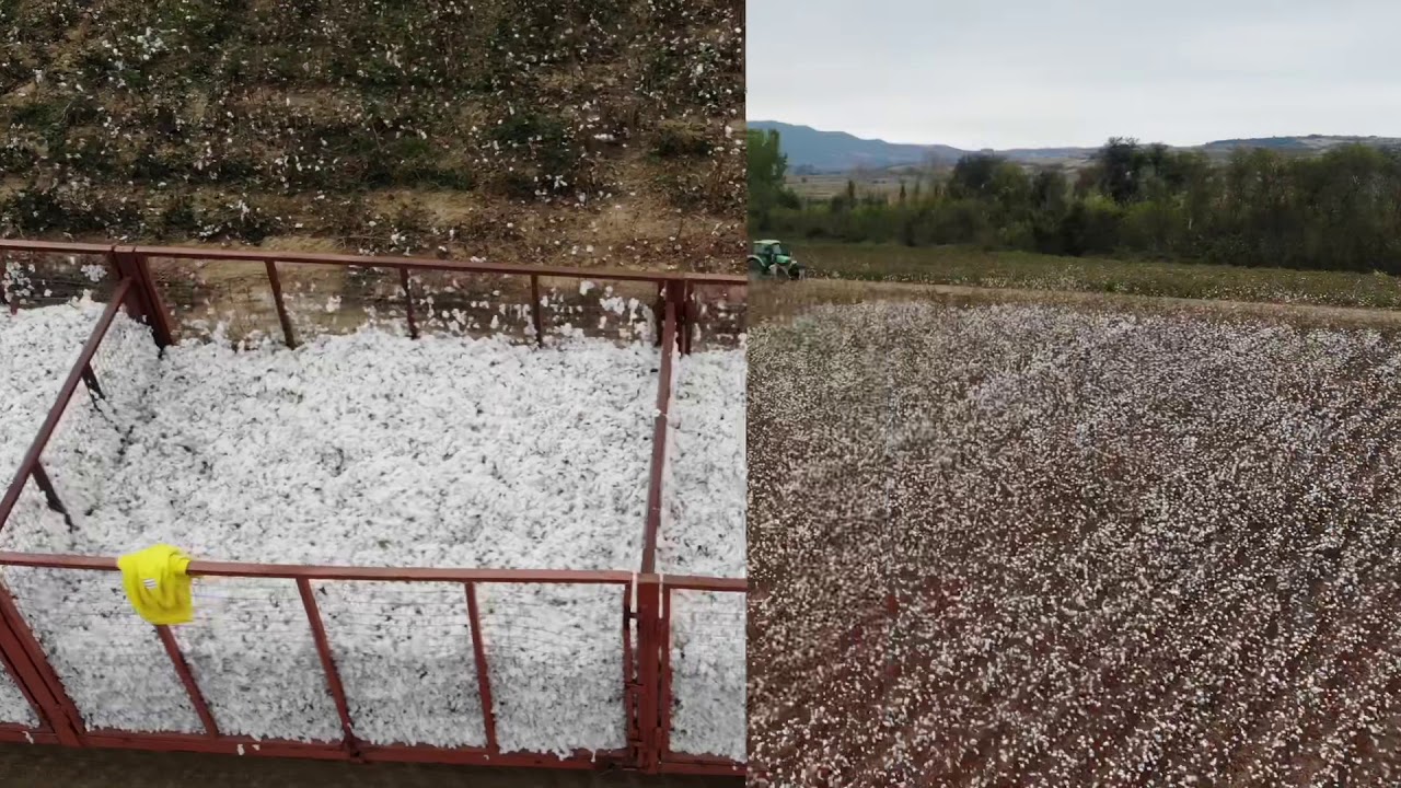 Cotton 2018-John Deere 9930