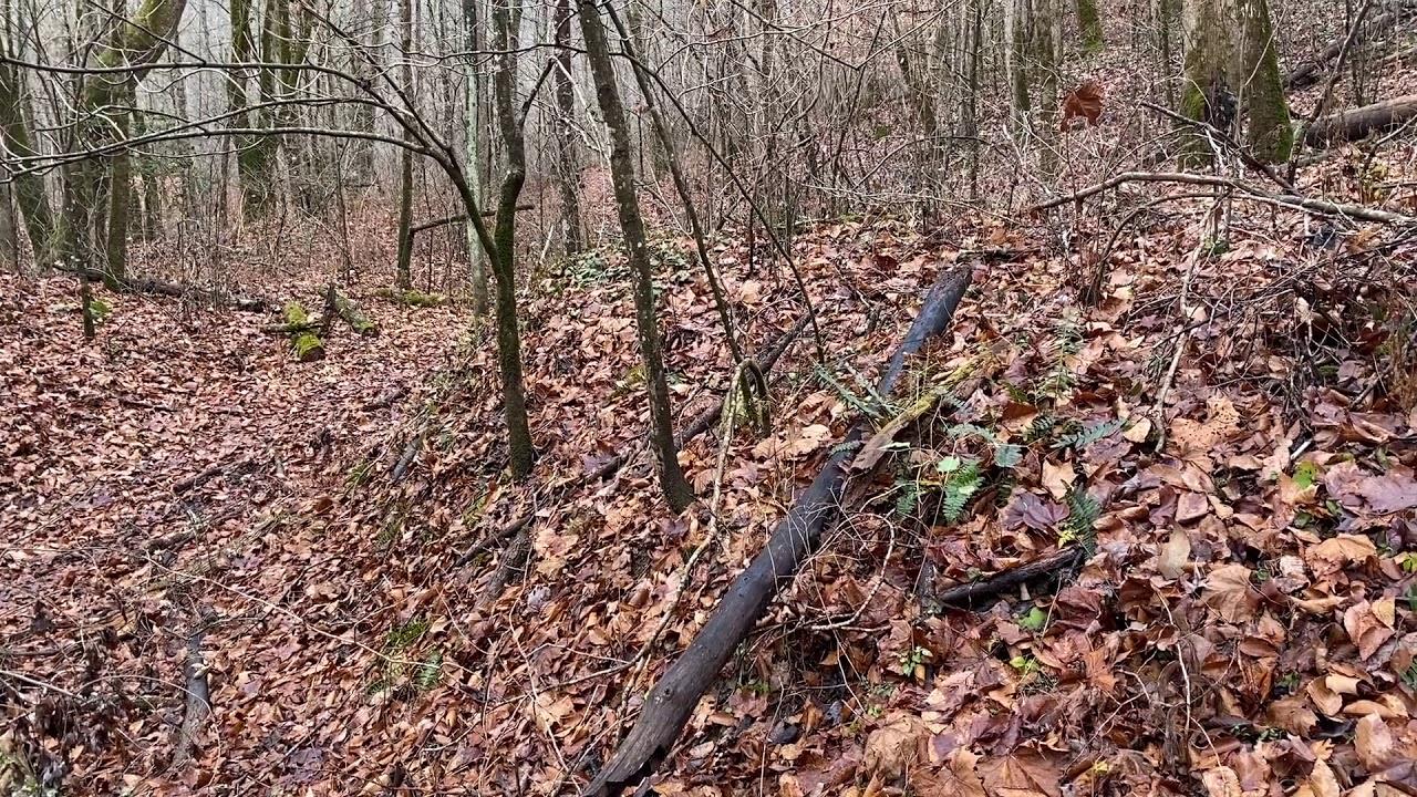 Big South Fork- Watson/Pennington Cemetery, Maude&rsquo;s Crack, Yellow Cliff Window and lots more.