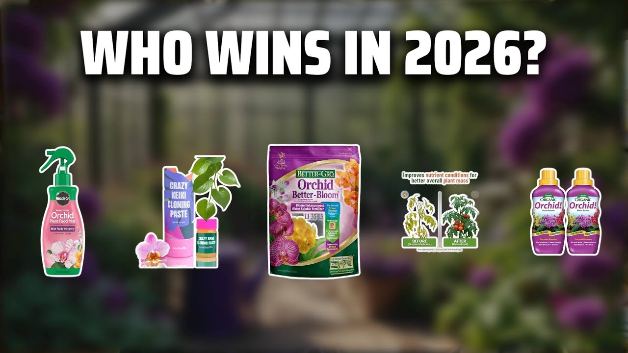 The Top 5 Best Orchid Fertilizer in 2026 - Must Watch Before Buying!