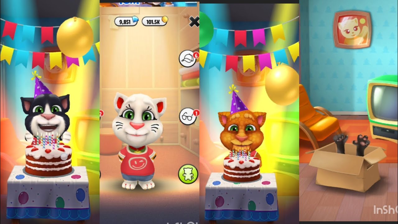5 tom cat one one frame#youtubevideo 