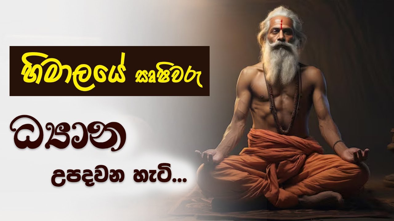 හිමාලයේ සෘෂිවරු ධ්‍යාන උපදවන්න සිල් රකින හැටි...(උන්වහන්සේ සමඟ කල සාකච්ඡාවක් ඇසුරින්) | Niwan Dakimu