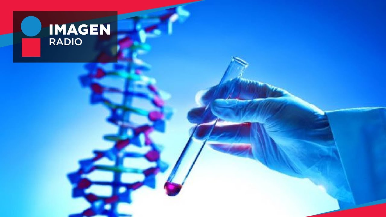 ¿Cómo funcionan las terapias dirigidas para tratar el cáncer?