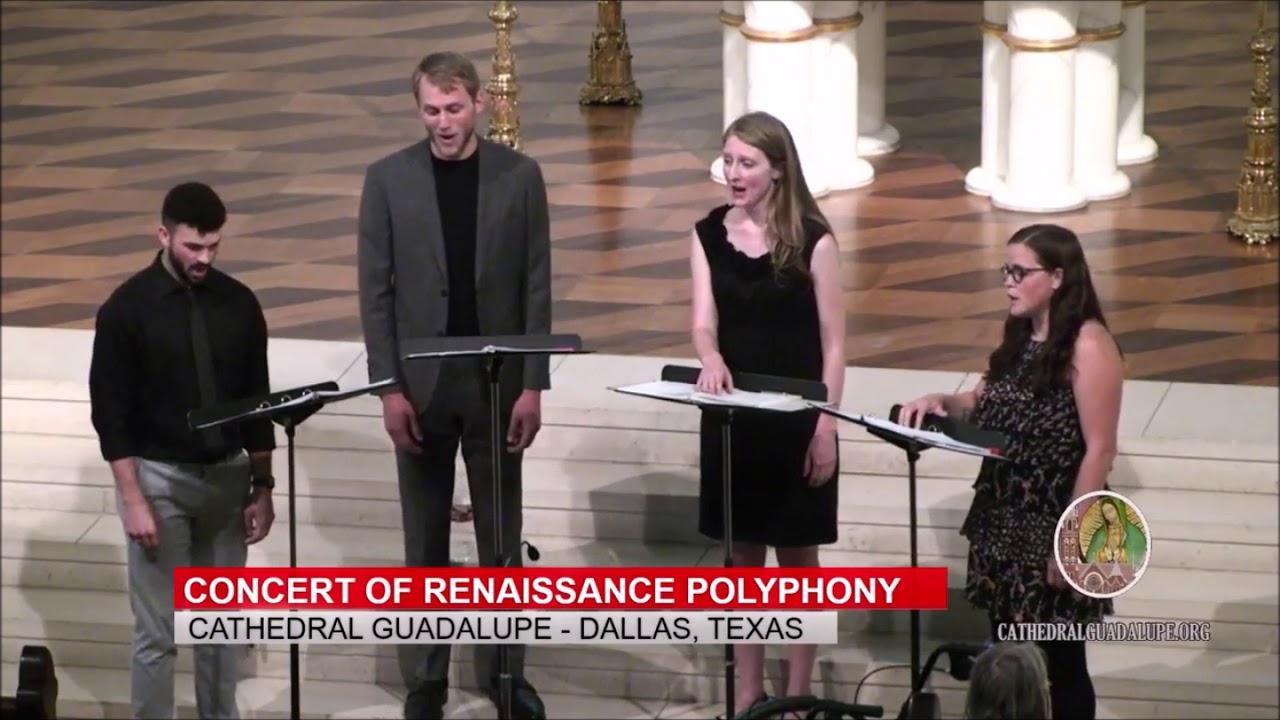 Concert of Renaissance Philosophy   Quod Balensi   Ancor che col partire   Cipriano de Rore