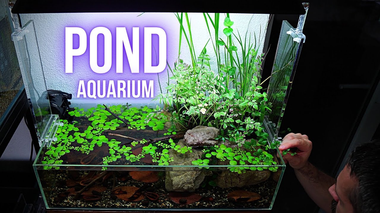 How to build SHALLOW POND AQUARIUM | Step by step AQUASCAPING TUTORIAL | EP1 POND AQUARIUM