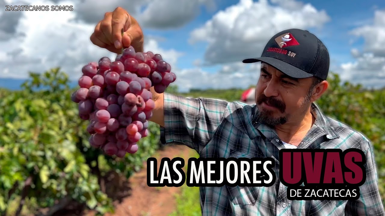 EL DULCE FRUTO del trabajo duro