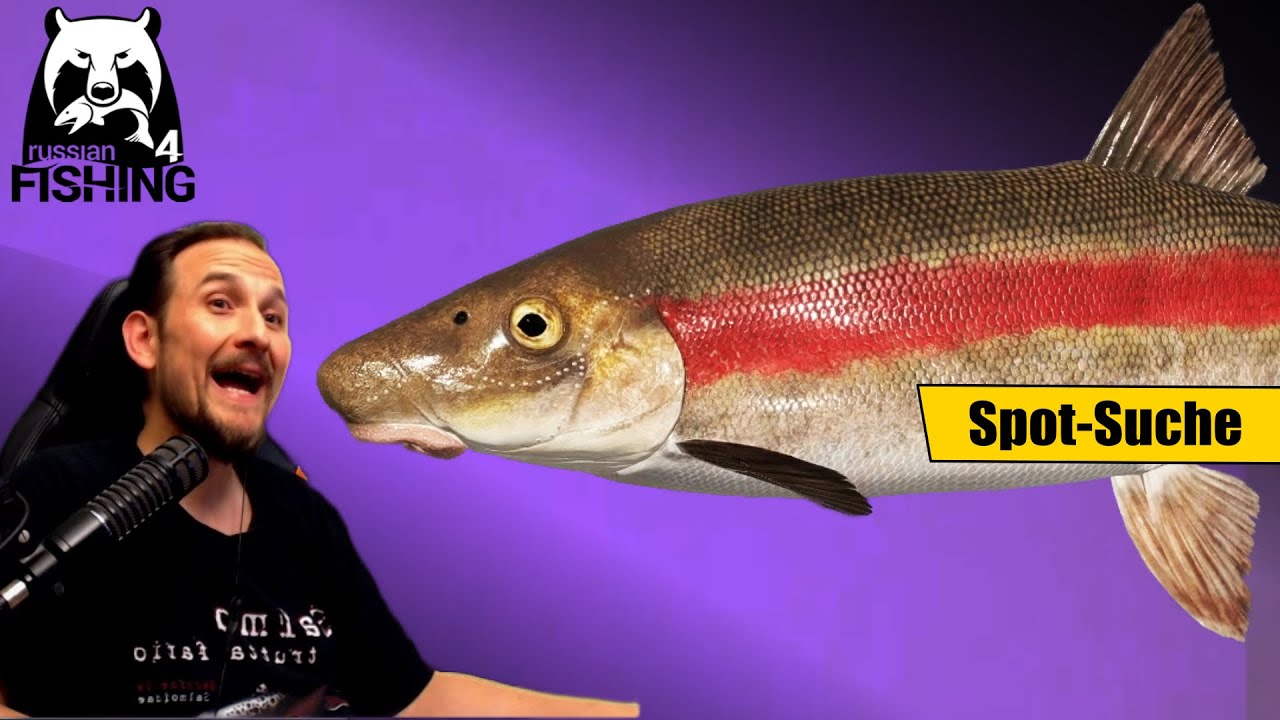 Russian Fishing 4 - Jama - Langnasen Saugdöbel Suche!