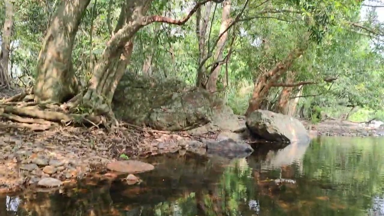 Aralam