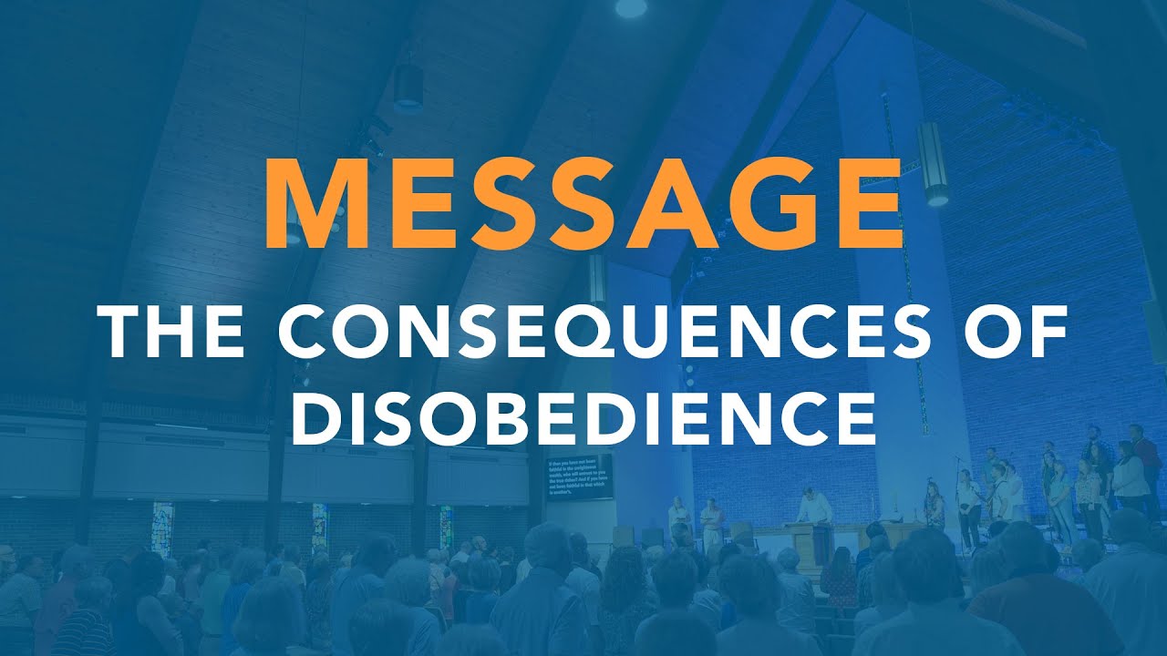 The Consequences of Disobedience - Stephen Streett